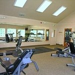 Cardio-fitness-center_67