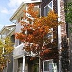 Community-view_66