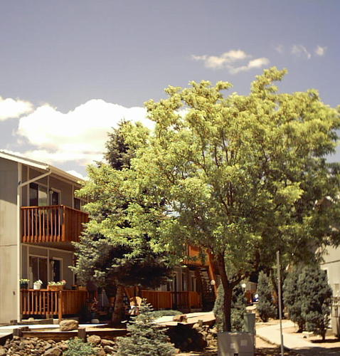 Ponderosa-park-exterior-2_29