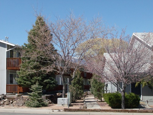 Ponderosa-park-exterior-3_31