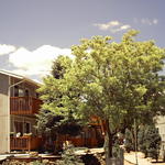 Ponderosa-park-exterior-2_29